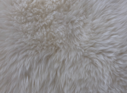Genuine natural sheepskin white