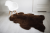 Genuine natural sheepskin brown