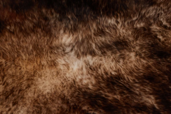Sheepskin - Mouflon