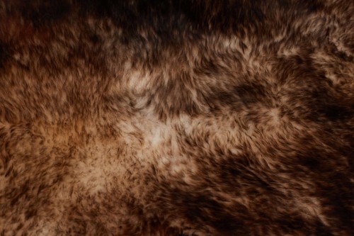 Sheepskin - Mouflon