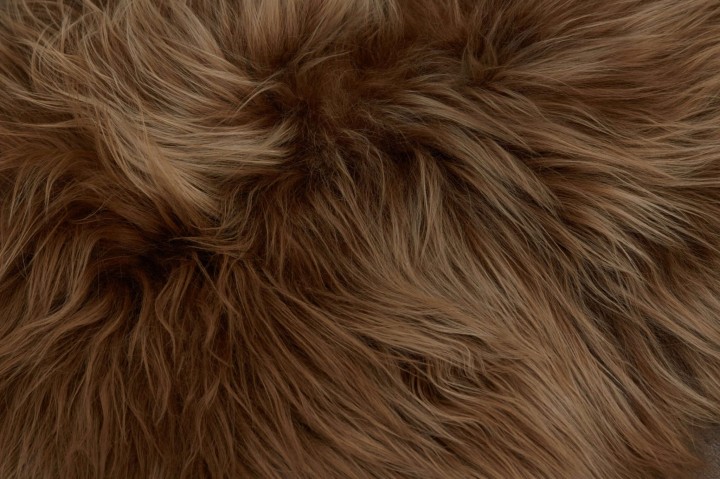 Skóra owcza - Rudy - Island długi włos