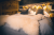 Genuine natural sheepskin cream