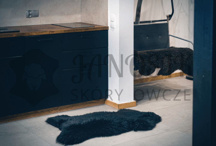 czarna owca